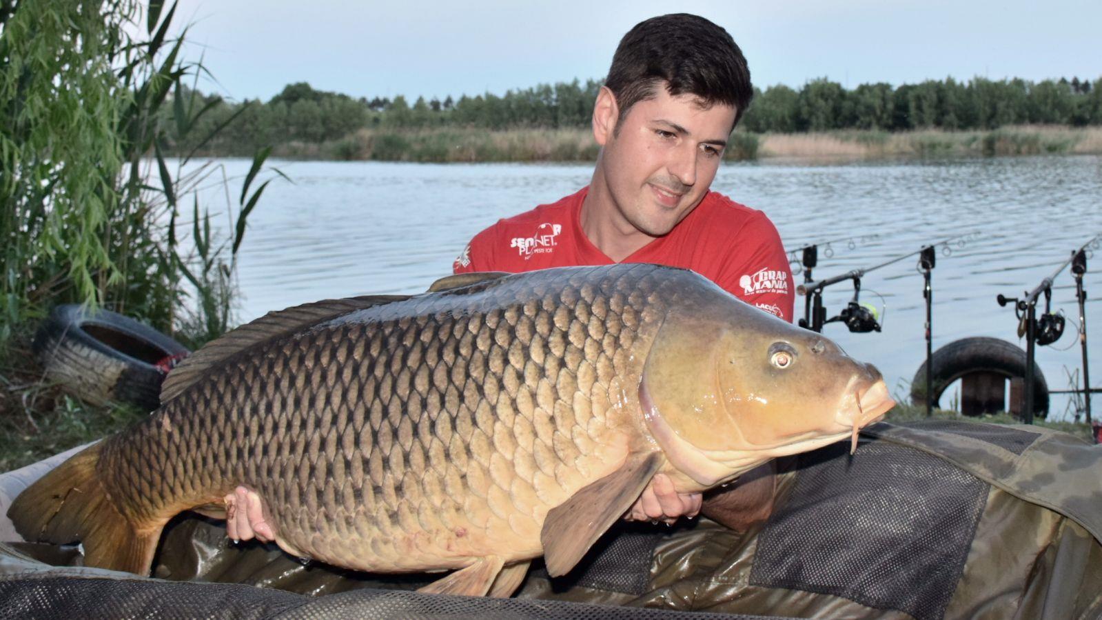 Tancabesti 11 - 13 mai. - 19 kg